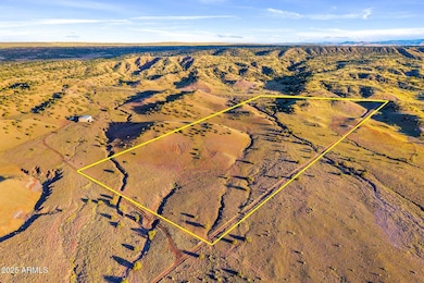 37297 Arizona 61, Concho, AZ 85924 - photo 4