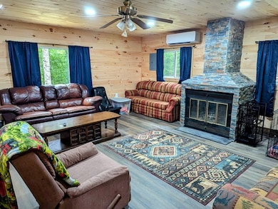 198 Spring Run Rd, Smethport, PA 16749 - photo 6