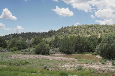 281 Oasis Valley Rd, Durango, CO 81303 - photo 6