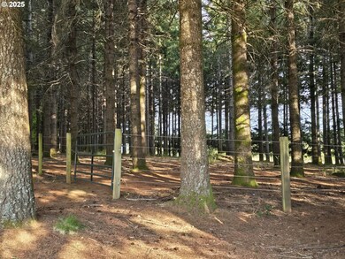 26800 SW Regia Dr, Sheridan, OR 97378 - photo 4