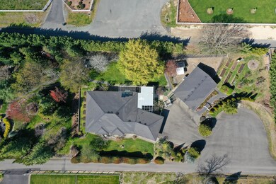 DJI_0261