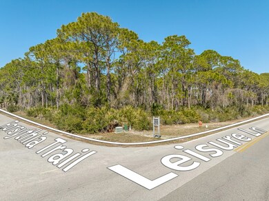 1601 Forsythia Trail, St. George Island, FL 32328 - photo 4