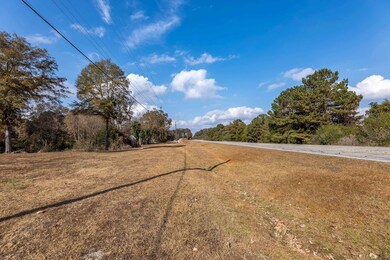 0 Highway 85 unit 224658, Waverly Hall, GA 31831 - photo 2
