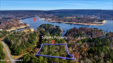 58 Long Point Rd, Double Springs, AL 35553 - photo 3