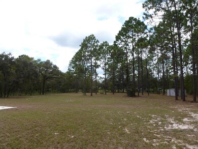 16688 SW 42nd Loop, Ocala, FL 34481 - photo 6