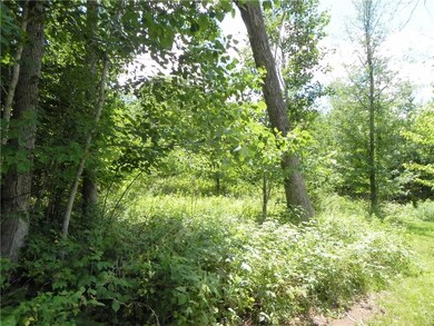 7145 Fremsted Rd, Danbury, WI 54830 - photo 7