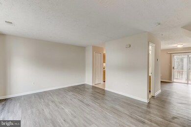 7169 Mahogany Dr, Hyattsville, MD 20785 - photo 5