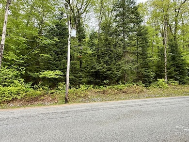 532 New York 8 unit 3, Piseco, NY 12139 - photo 3