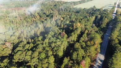 0 Highway 81, Notasulga, AL 36866 - photo 2