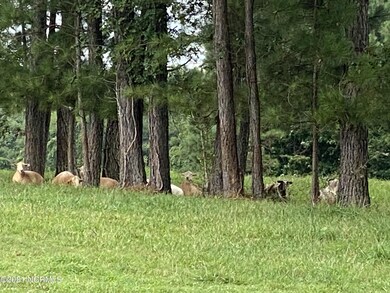 1069 Reed Rd, Castalia, NC 27816 - photo 5