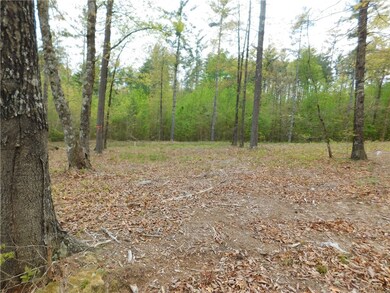 Lot 2 Old Chapman Bridge Rd, Salem, SC 29676 - photo 6