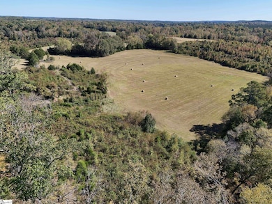 258 Dupree Farm Rd, Buffalo, SC 29321 - photo 2