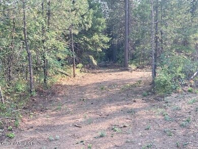 29224 N Old Highway 95, Athol, ID 83801 - photo 2