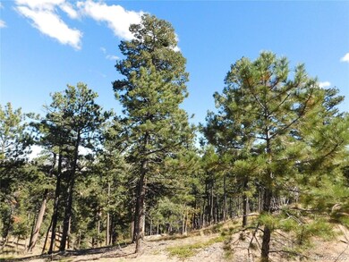 13886 Boulder Ln, Larkspur, CO 80118 - photo 5