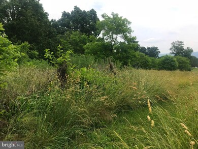 TBD Palmyra Church Rd, Edinburg, VA - photo 4