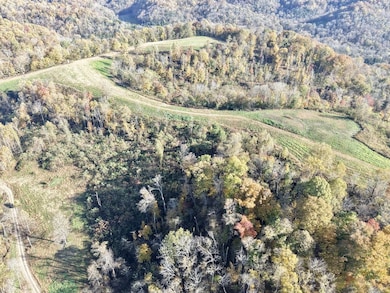 270 Higgins Rd, Woodbury, TN 37190 - photo 7