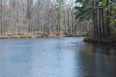 13009 Windsor Blvd, Windsor, VA 23487 - photo 2