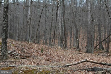 LOT 4 Helmick Rock-Trout Pass Rd, Mathias, WV 26812 - photo 5