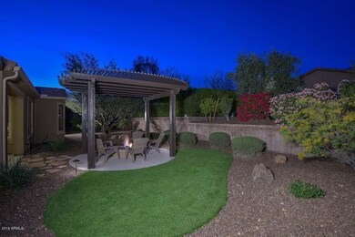 Fantastic Privacy in Backyard