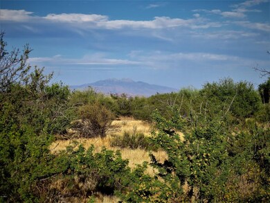 IMG_3972