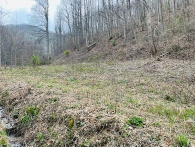 2794 E Fork Rd, Sylva, NC 28779 - photo 3