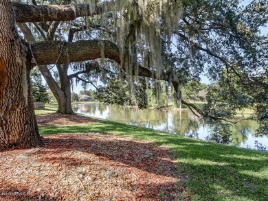 Backyard Lagoon