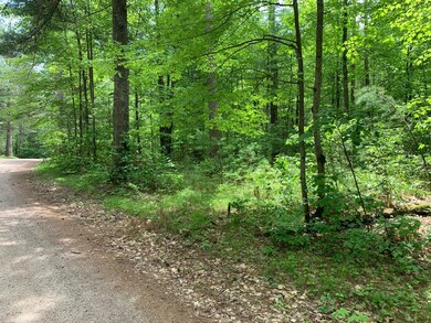 Lot 5 Somo Ridge Dr, Tomahawk, WI 54487 - photo 2