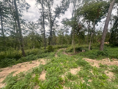 120 Oak Ridge Ln, Covington, IN 47932 - photo 7