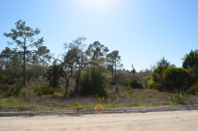 000 Yates Creek Rd unit 2, Perry, FL 32348 - photo 6