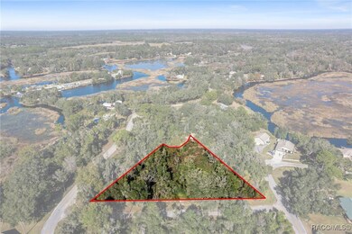 4351 N Mate Ln, Hernando, FL 34442 - photo 2