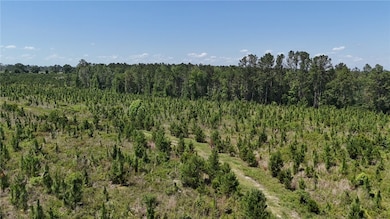 0 Deer Run Rd, Vidalia, GA 30474 - photo 2