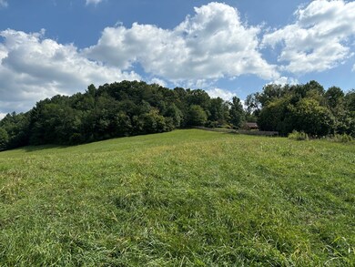 9.12 Mission Hill Rd, Hayesville, NC 28904 - photo 6