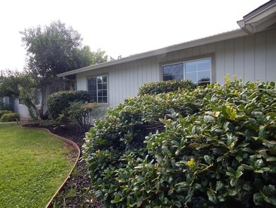 3369 Auburn Dr, Redding, CA 96001 - photo 6