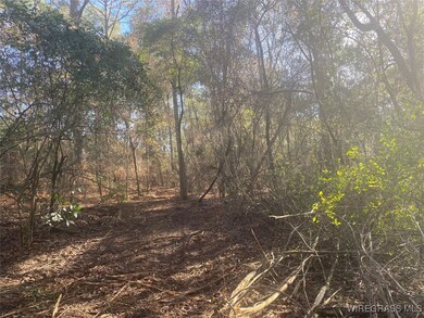 805 Lessie Culpepper Rd, Coffee Springs, AL 36318 - photo 6