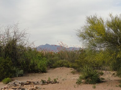 Rincon Mountains