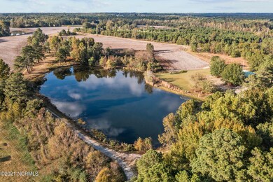 57-web-or-mls-DJI_0690