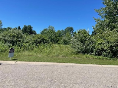 6460 Atlas Lakes Dr, Atlas, MI 48411 - photo 2