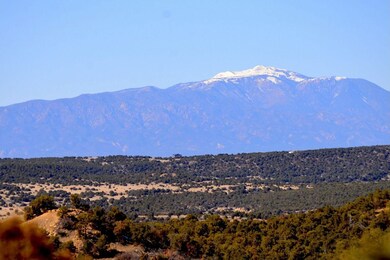 25902 E View Dr, Aguilar, CO 81020 - photo 4