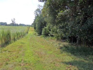 00 Pleasant Ridge Rd, Franklinville, NC 27248 - photo 4