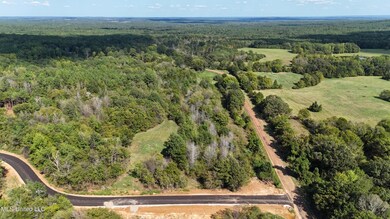 DJI_20240917152220_0898_D