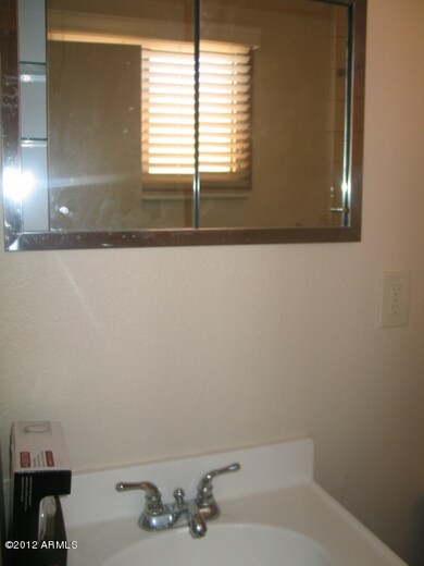 Master Bathroom Sink