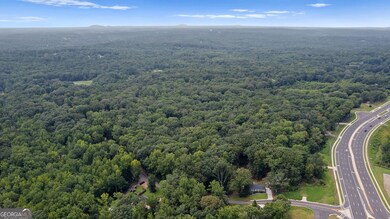 174 Wheeler Martin Dr, Canton, GA 30115 - photo 4