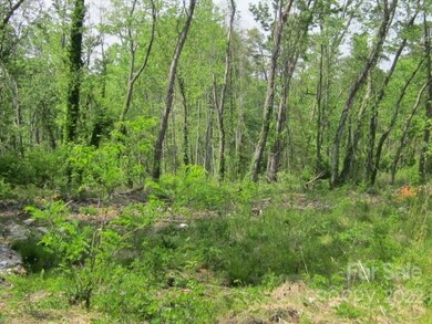 0 Signal Hill Rd unit CAR3855739, Hendersonville, NC 28793 - photo 6