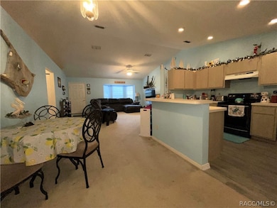 8885 N Gilovu Dr, Citrus Springs, FL 34433 - photo 5