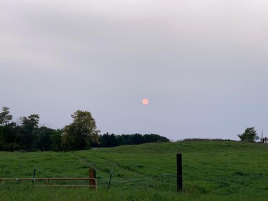 22455 Ginseng Rd, Long Prairie, MN 56347 - photo 2