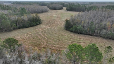 0 Berry Groves Rd, Clermont, FL 34714 - photo 7