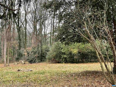 301 Georgetown Ln, Charlottesville, VA 22901 - photo 2