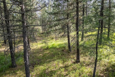 LOT 22 Couples Ct, Chewelah, WA 99109 - photo 3