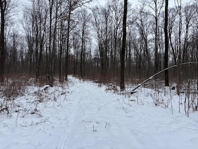 ON Outlaw Rd, Bern, WI 54451 - photo 3