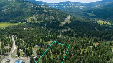 Nhn Coon Hollow Rd, Kila, MT 59920 - photo 6